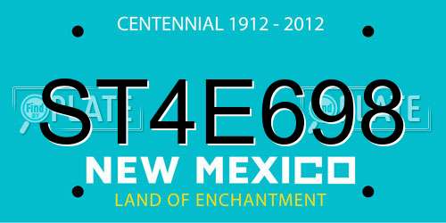 ST4E698 New Mexico License Plate