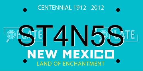ST4N5S New Mexico License Plate
