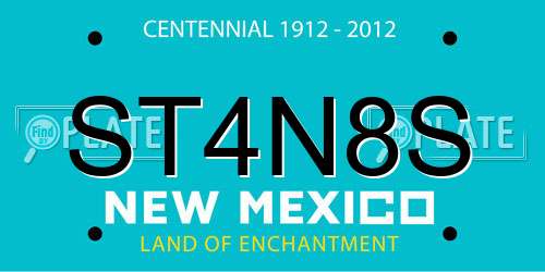 ST4N8S New Mexico License Plate