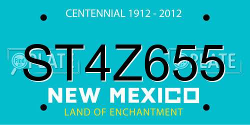 ST4Z655 New Mexico License Plate