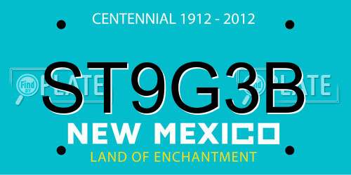 ST9G3B New Mexico License Plate