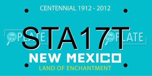 STA17T New Mexico License Plate