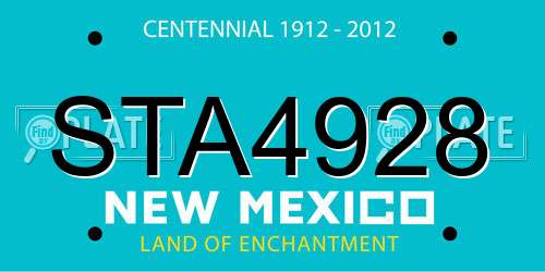 STA4928 New Mexico License Plate