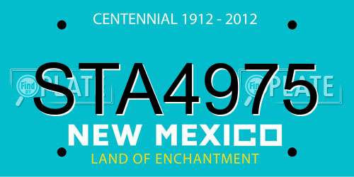 STA4975 New Mexico License Plate