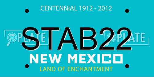 STAB22 New Mexico License Plate