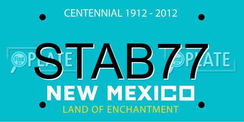 STAB77 New Mexico License Plate