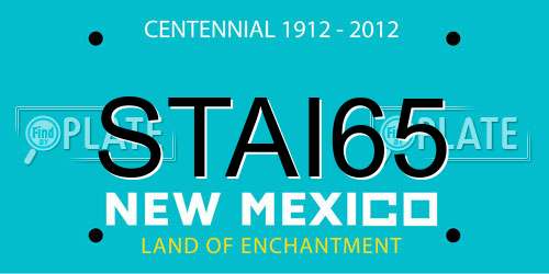 STAI65 New Mexico License Plate