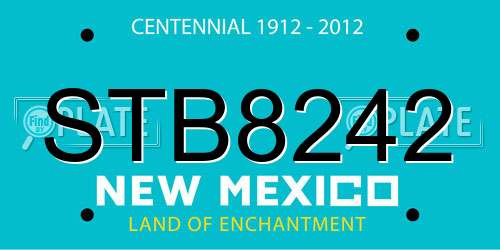 STB8242 New Mexico License Plate