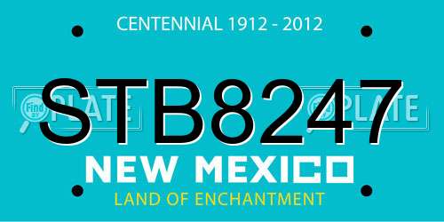 STB8247 New Mexico License Plate