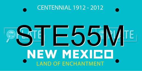 STE55M New Mexico License Plate