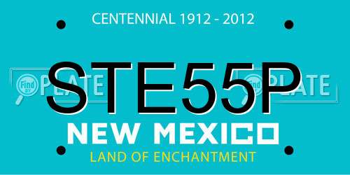 STE55P New Mexico License Plate