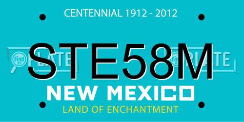 STE58M New Mexico License Plate