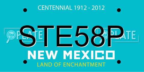 STE58P New Mexico License Plate