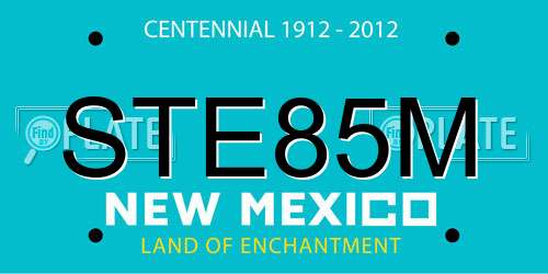 STE85M New Mexico License Plate