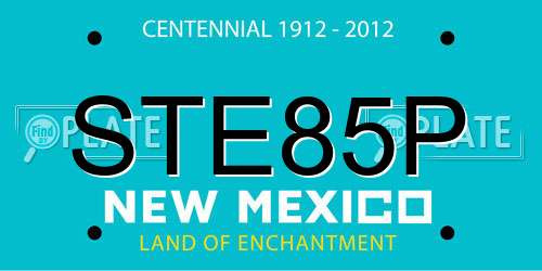 STE85P New Mexico License Plate
