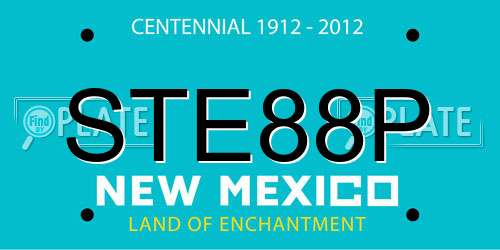 STE88P New Mexico License Plate