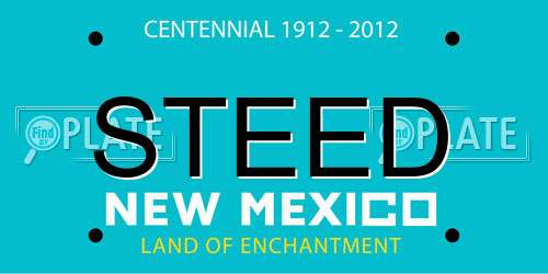 STEED New Mexico License Plate