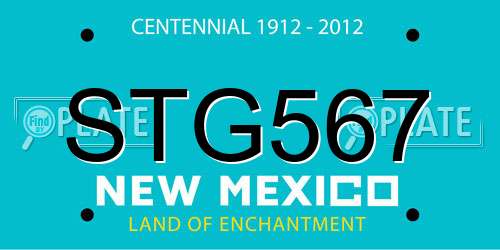 STG567 New Mexico License Plate