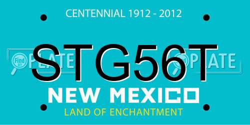 STG56T New Mexico License Plate