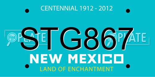 STG867 New Mexico License Plate