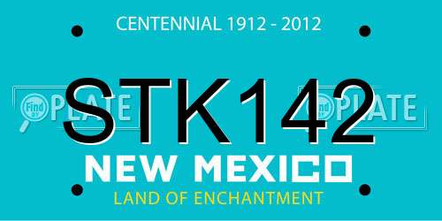STK142 New Mexico License Plate