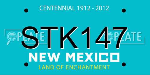 STK147 New Mexico License Plate