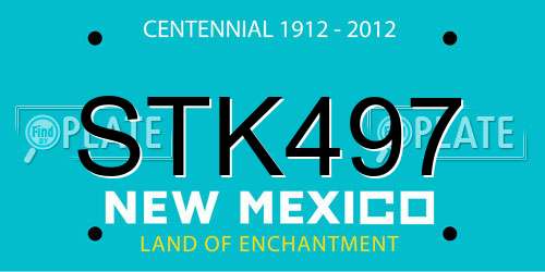 STK497 New Mexico License Plate
