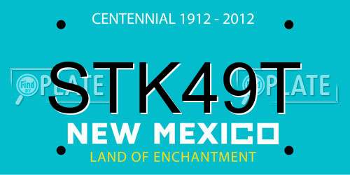 STK49T New Mexico License Plate