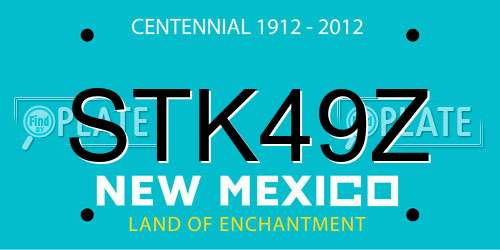 STK49Z New Mexico License Plate