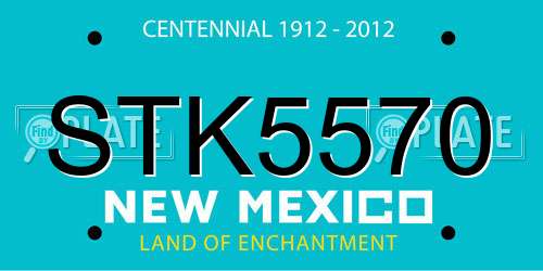 STK5570 New Mexico License Plate