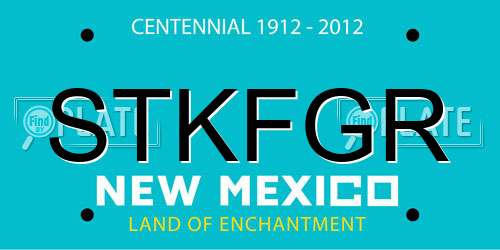 STKFGR New Mexico License Plate