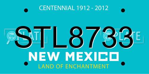 STL8733 New Mexico License Plate