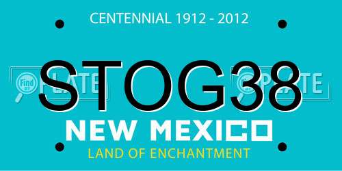 STOG38 New Mexico License Plate