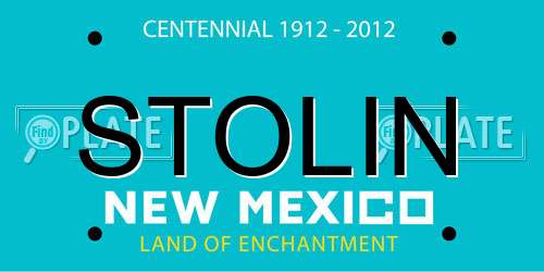 STOLIN New Mexico License Plate