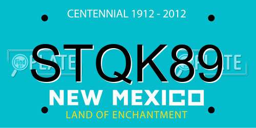 STQK89 New Mexico License Plate