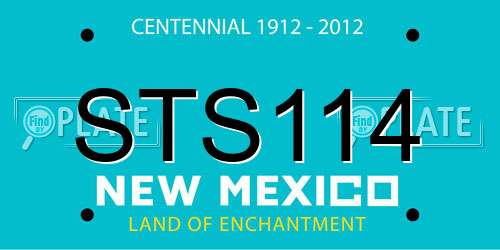 STS114 New Mexico License Plate