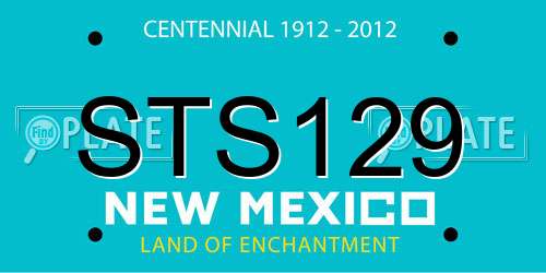 STS129 New Mexico License Plate