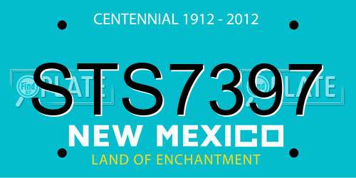 STS7397 New Mexico License Plate