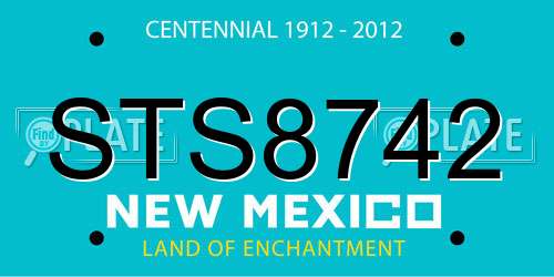 STS8742 New Mexico License Plate