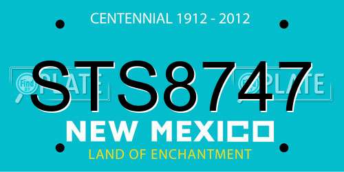 STS8747 New Mexico License Plate