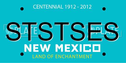 STSTSES New Mexico License Plate