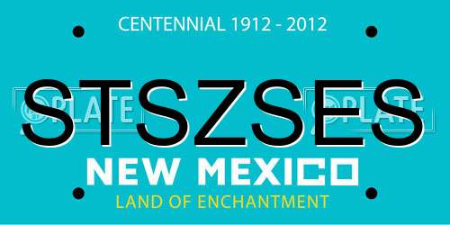STSZSES New Mexico License Plate