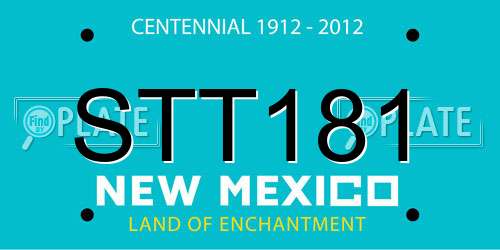 STT181 New Mexico License Plate