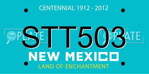 STT503 New Mexico License Plate
