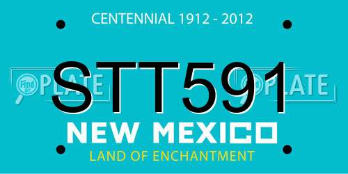 STT591 New Mexico License Plate