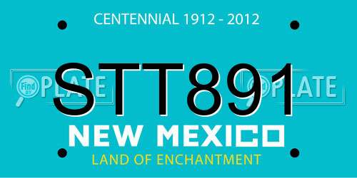 STT891 New Mexico License Plate