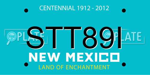 STT89I New Mexico License Plate