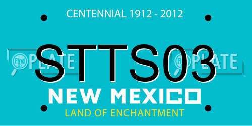 STTS03 New Mexico License Plate