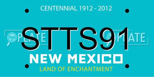 STTS91 New Mexico License Plate