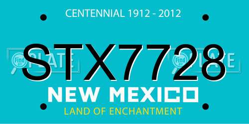 STX7728 New Mexico License Plate